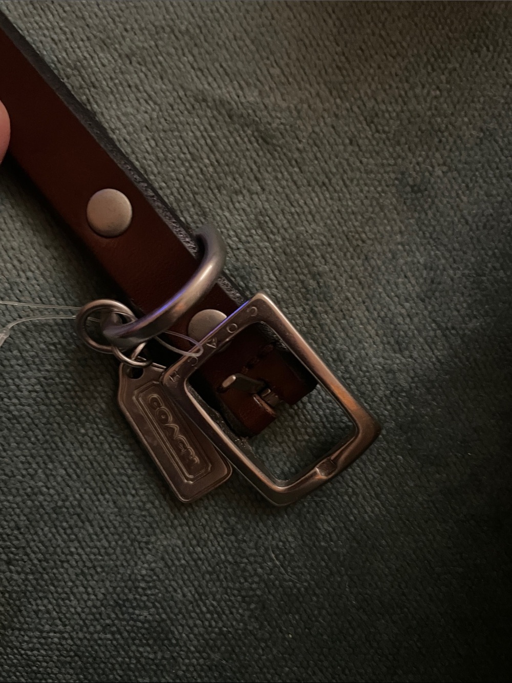 Coach Brown Leather small dog collar